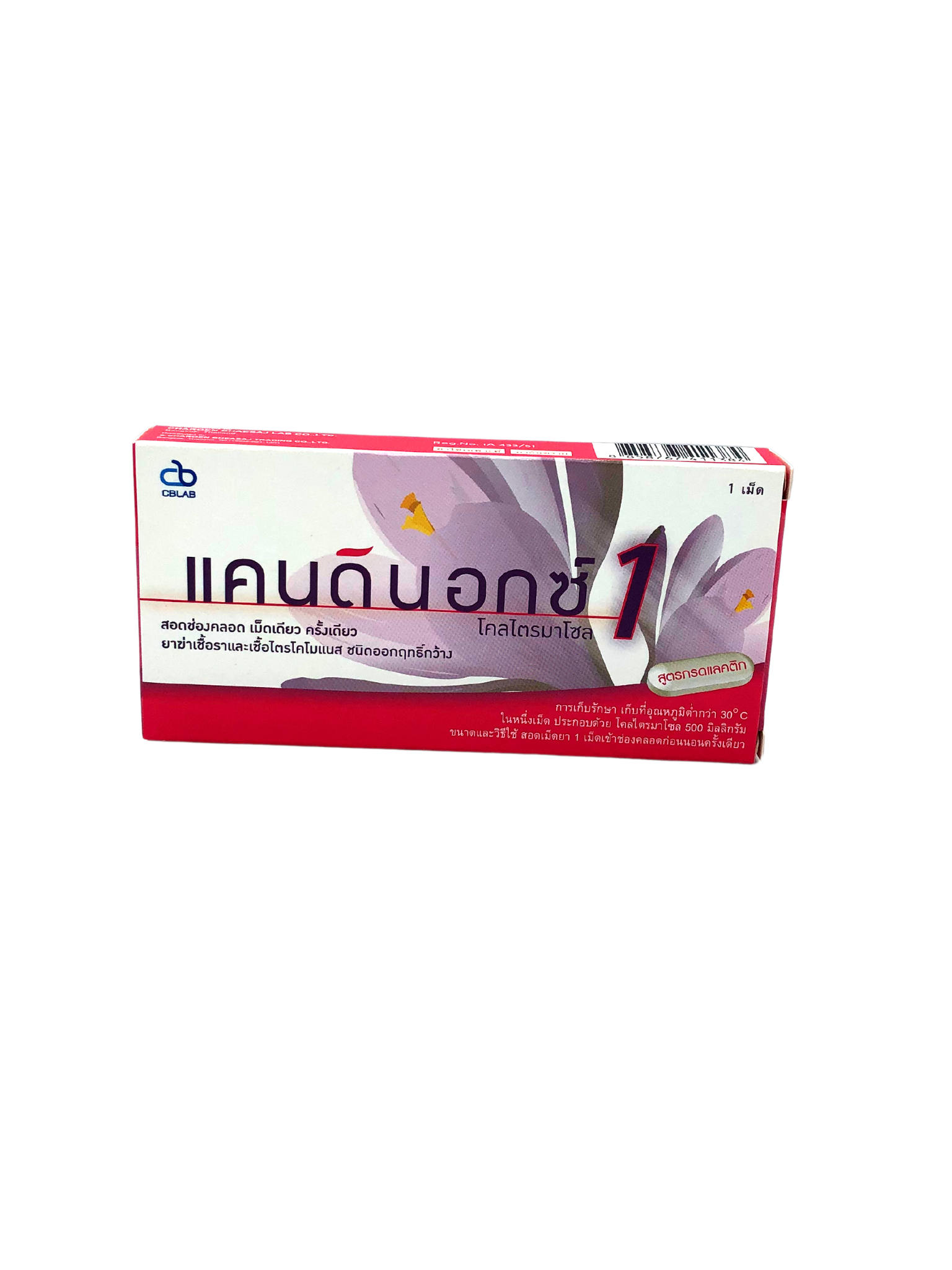 Candinox VT 1's แบบมีอุปกรณ์ช่วย